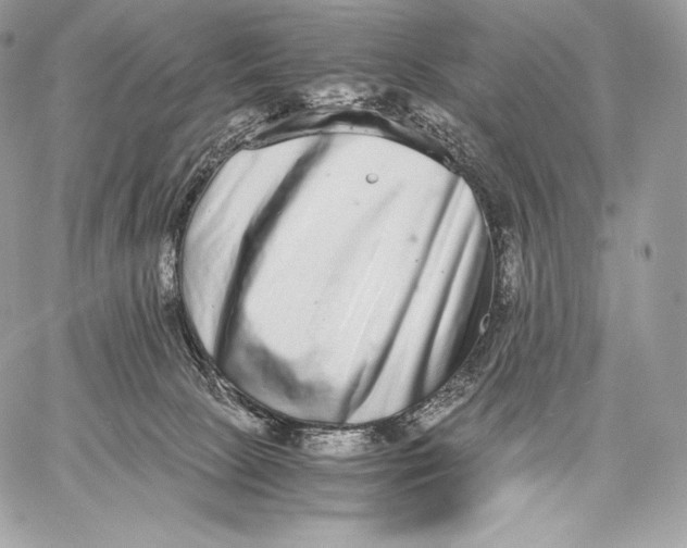 X0000059830081200511111730