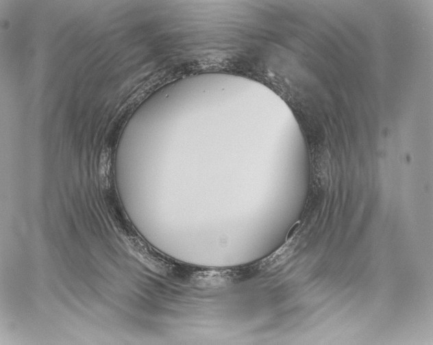 X0000059830082200511111730