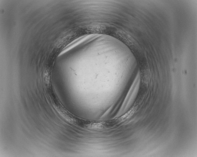 X0000059830086200511111730