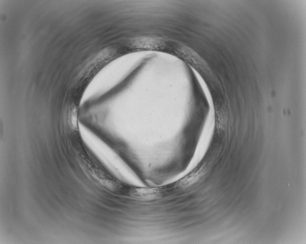 X0000059830095200511111730