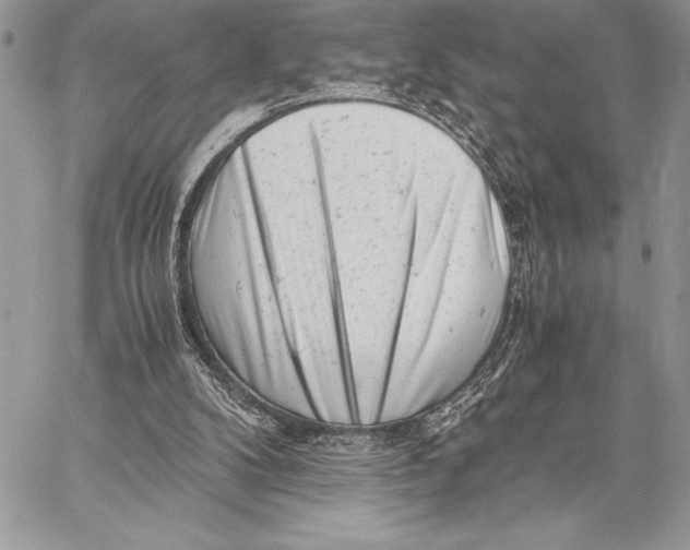 X0000059830104200511111729