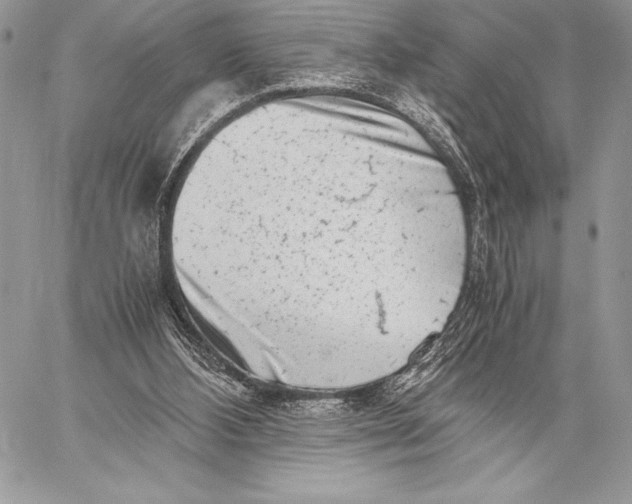 X0000059830108200511111729