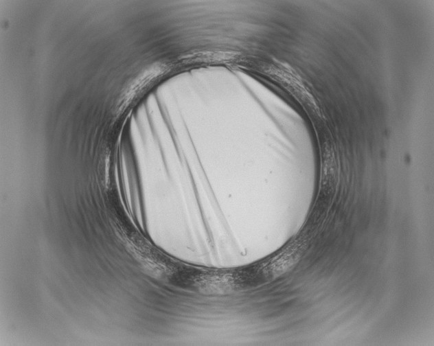 X0000059830110200511111729