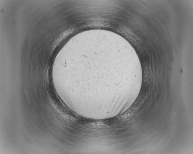 X0000059830112200511111729