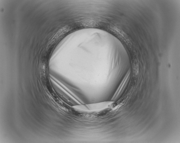 X0000059830117200511111729