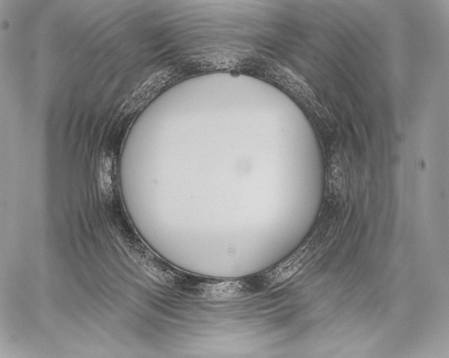 X0000059830122200511111729