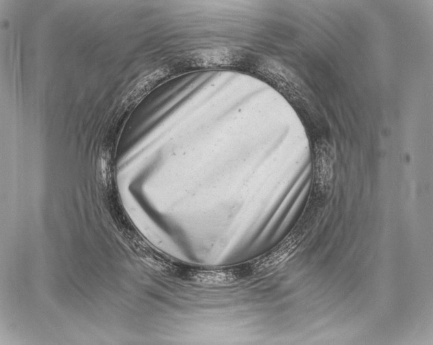 X0000059830123200511111729