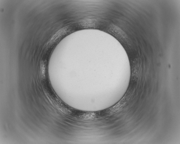 X0000059830124200511111729