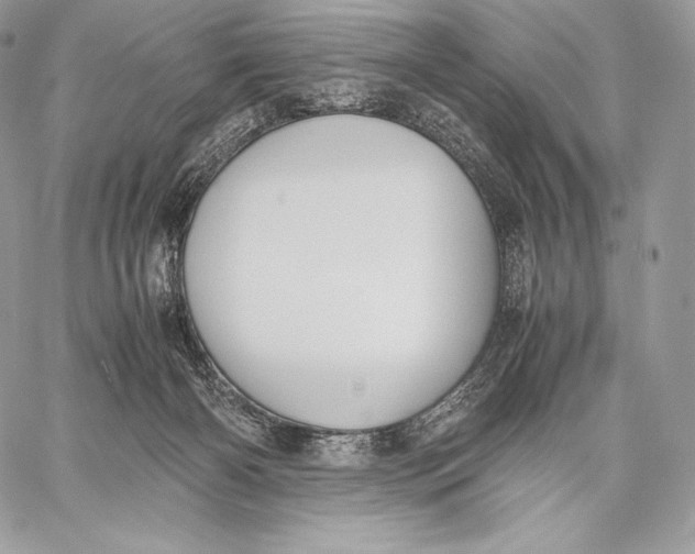 X0000059830126200511111729