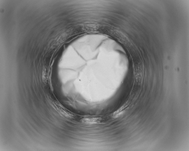 X0000059830134200511111729
