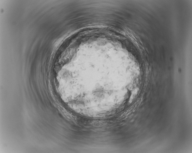 X0000059830145200511111728