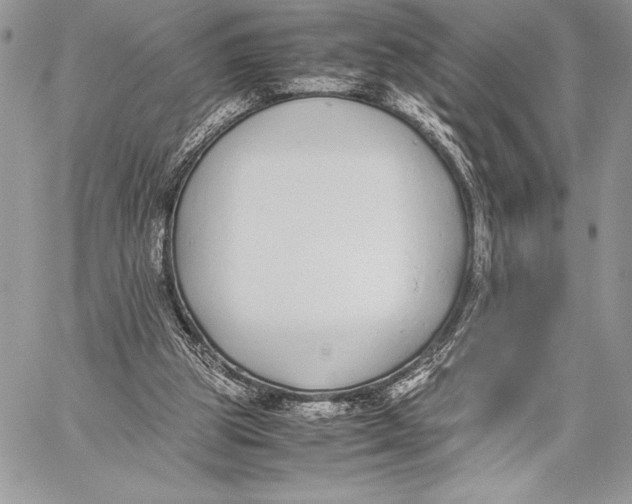 X0000059830153200511111728