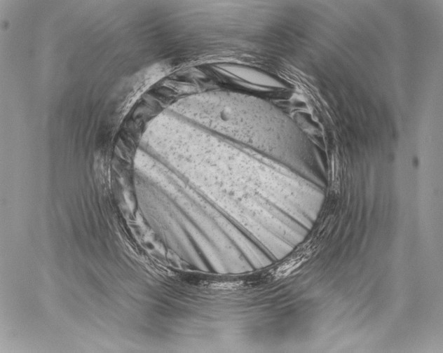 X0000059830156200511111728