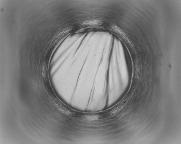 X0000059830161200511111728