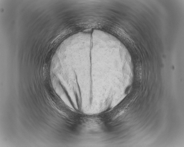 X0000059830165200511111728