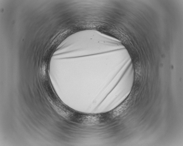 X0000059830166200511111728