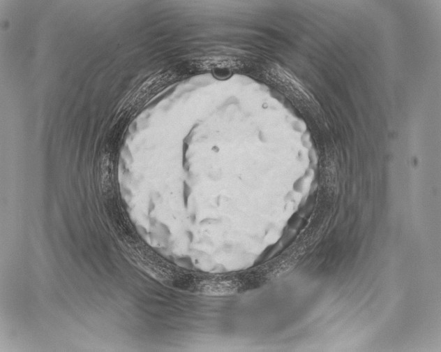 X0000059830169200511111728