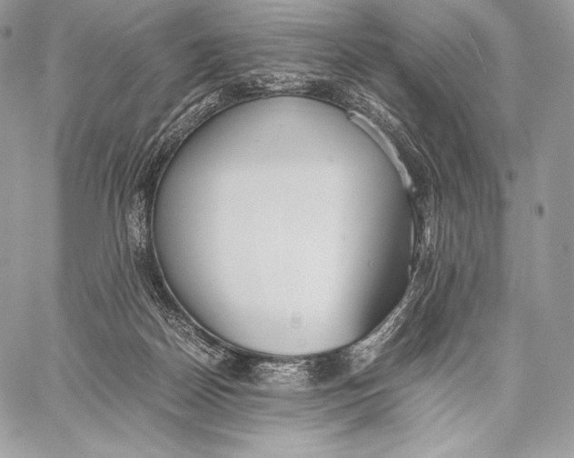 X0000059830170200511111728