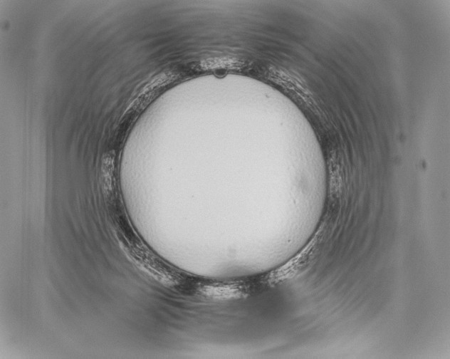 X0000059830171200511111728
