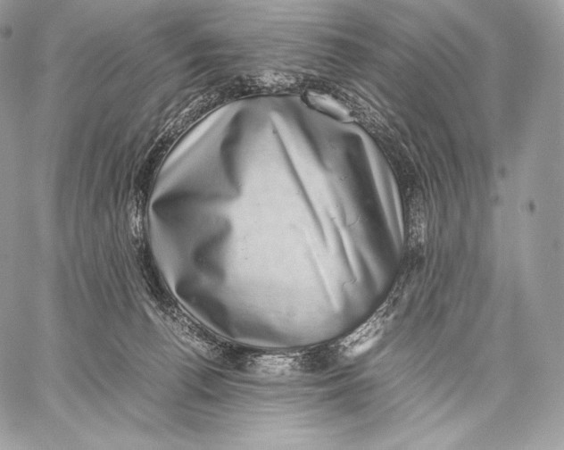 X0000059830176200511111728