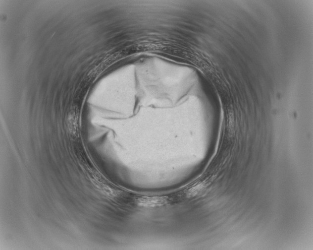 X0000059830177200511111728