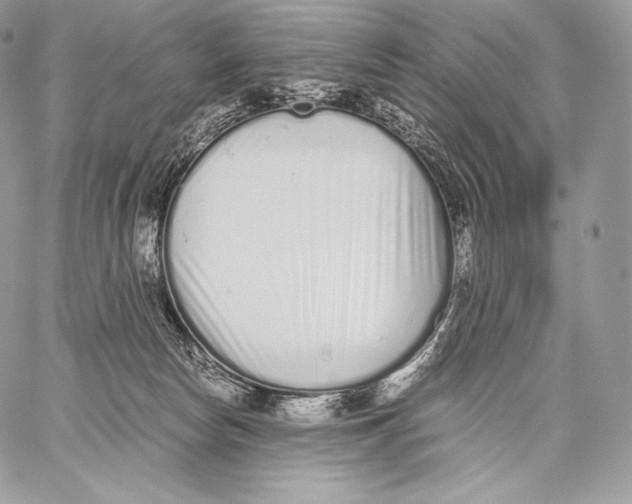 X0000059830178200511111728