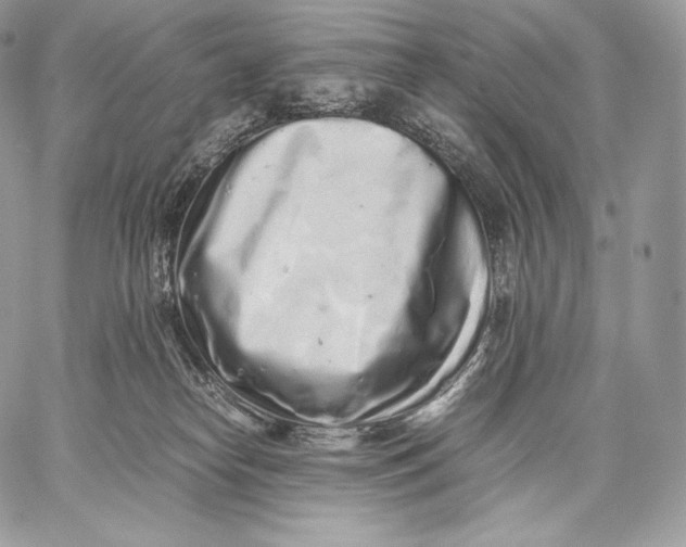 X0000059830182200511111728