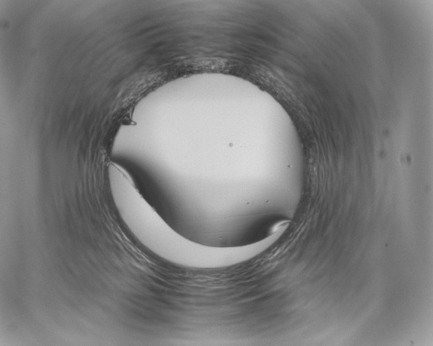 X0000059830185200511111728