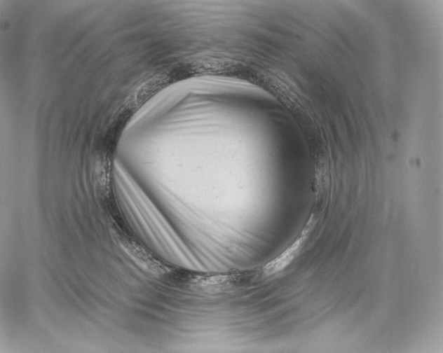 X0000059830186200511111728