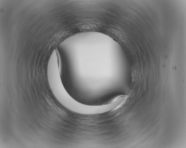X0000059830187200511111728