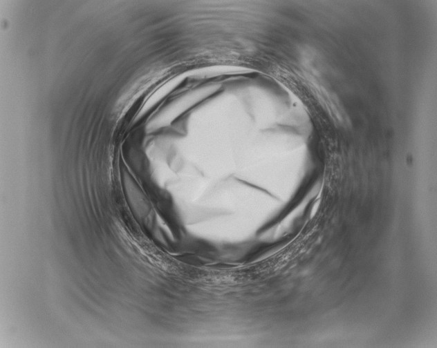 X0000059830194200511111728