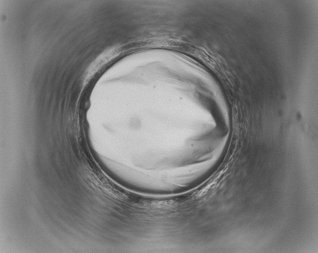 X0000059830198200511111727