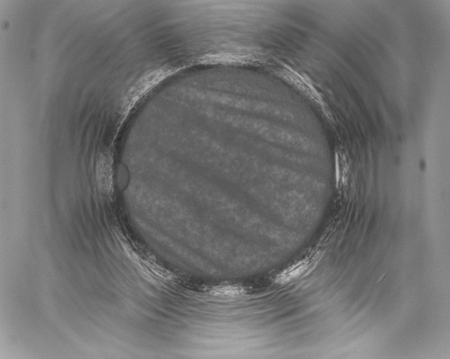 X0000059830204200511111727