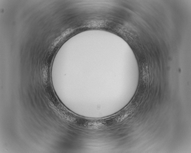 X0000059830208200511111727