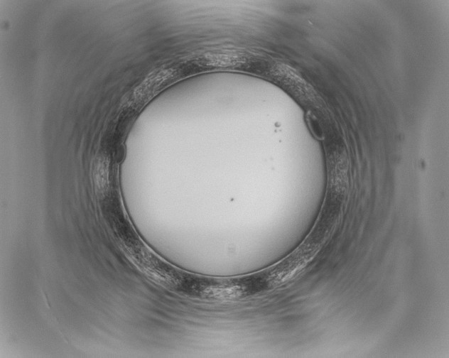 X0000059830213200511111727
