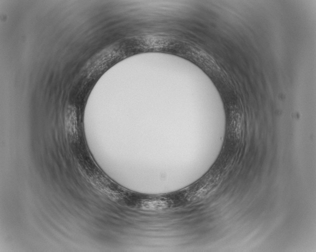 X0000059830220200511111727