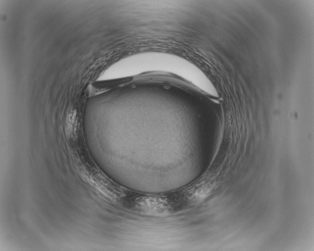 X0000059830223200511111727