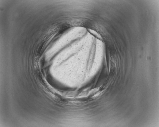 X0000059830237200511111727
