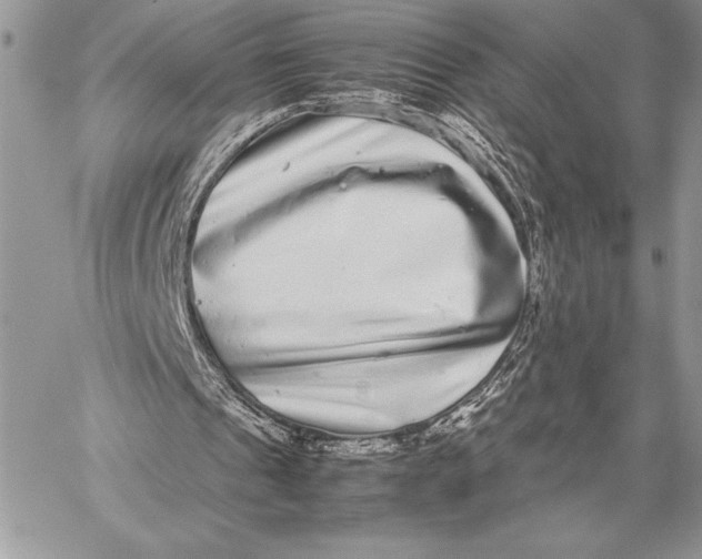X0000059830241200511111726