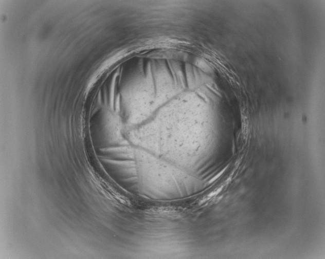 X0000059830244200511111726