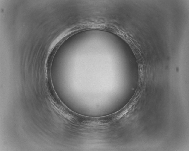 X0000059830246200511111726