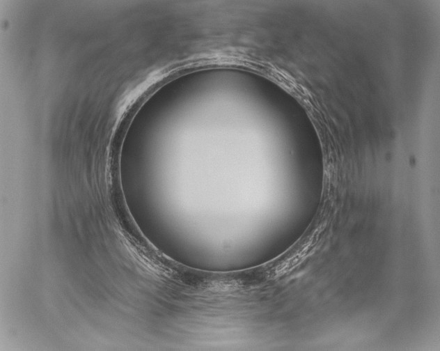 X0000059830248200511111726