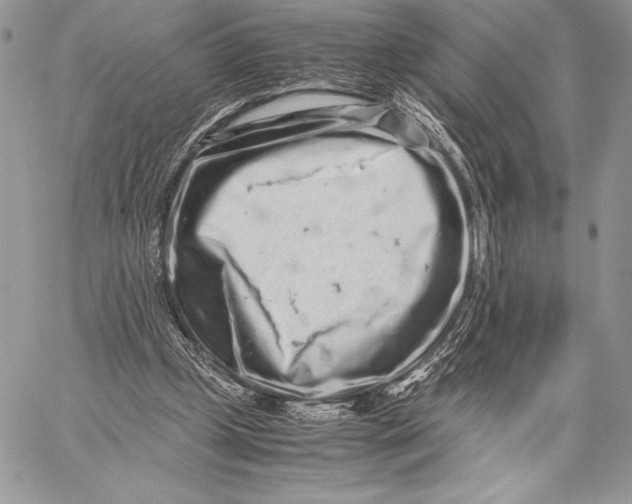 X0000059830249200511111726