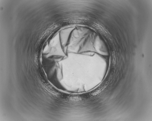 X0000059830258200511111726