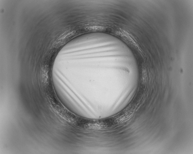 X0000059830259200511111726