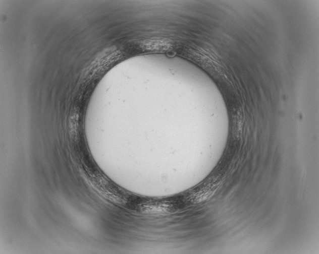 X0000059830263200511111726