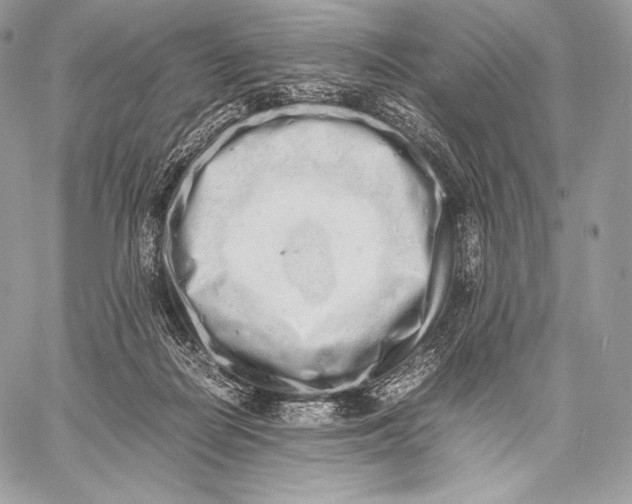 X0000059830266200511111726
