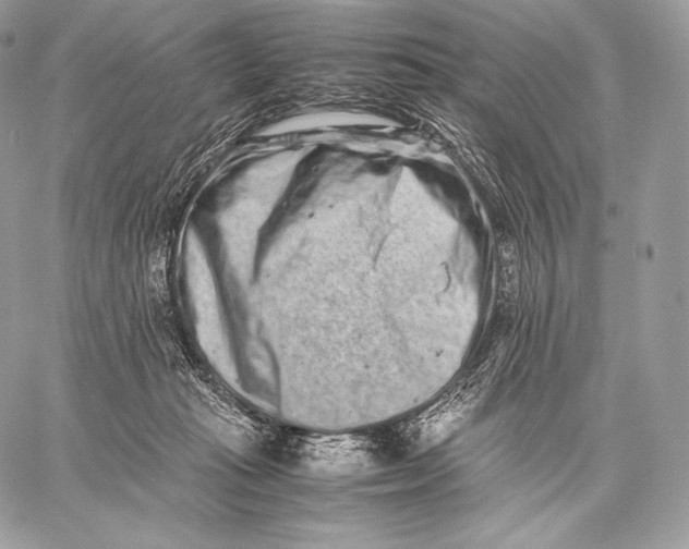 X0000059830269200511111726