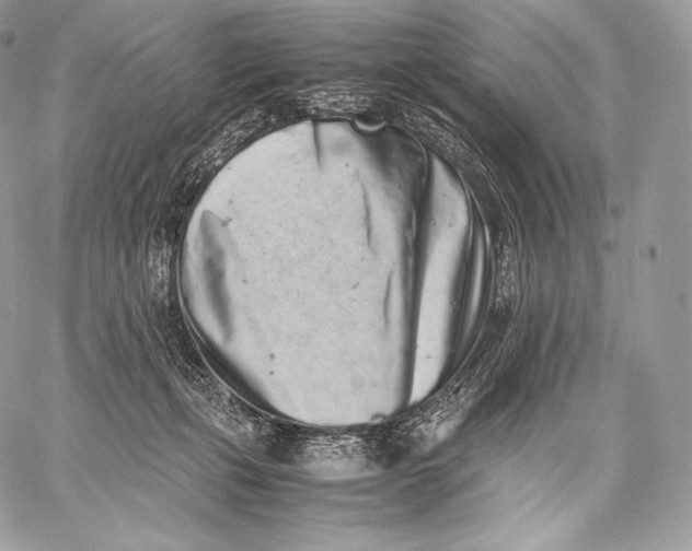 X0000059830271200511111726