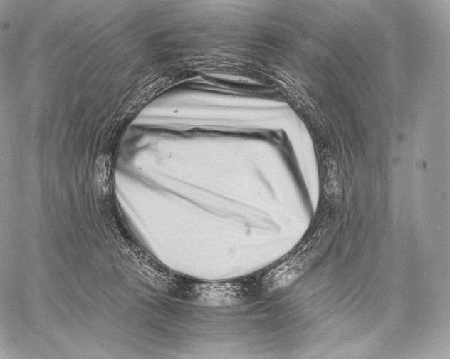 X0000059830273200511111726